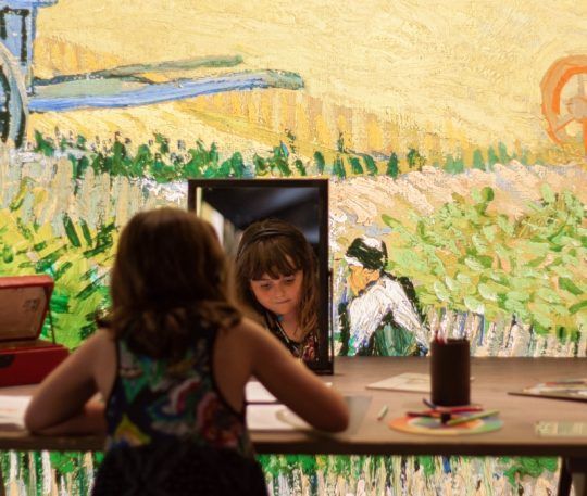 Meet Vincent Van Gogh inmersivo en Parque Bicentenario