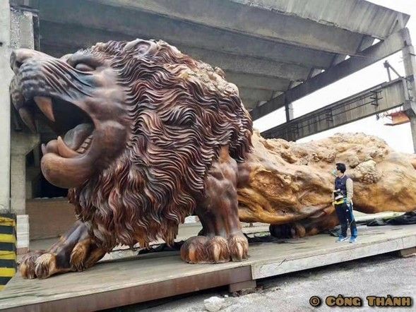 León de sequoya de Wuhan: un nuevo gigante sin miedo al Covid