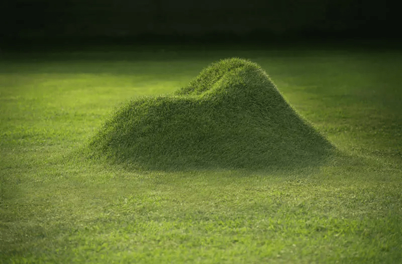 Sofa de pasto 2