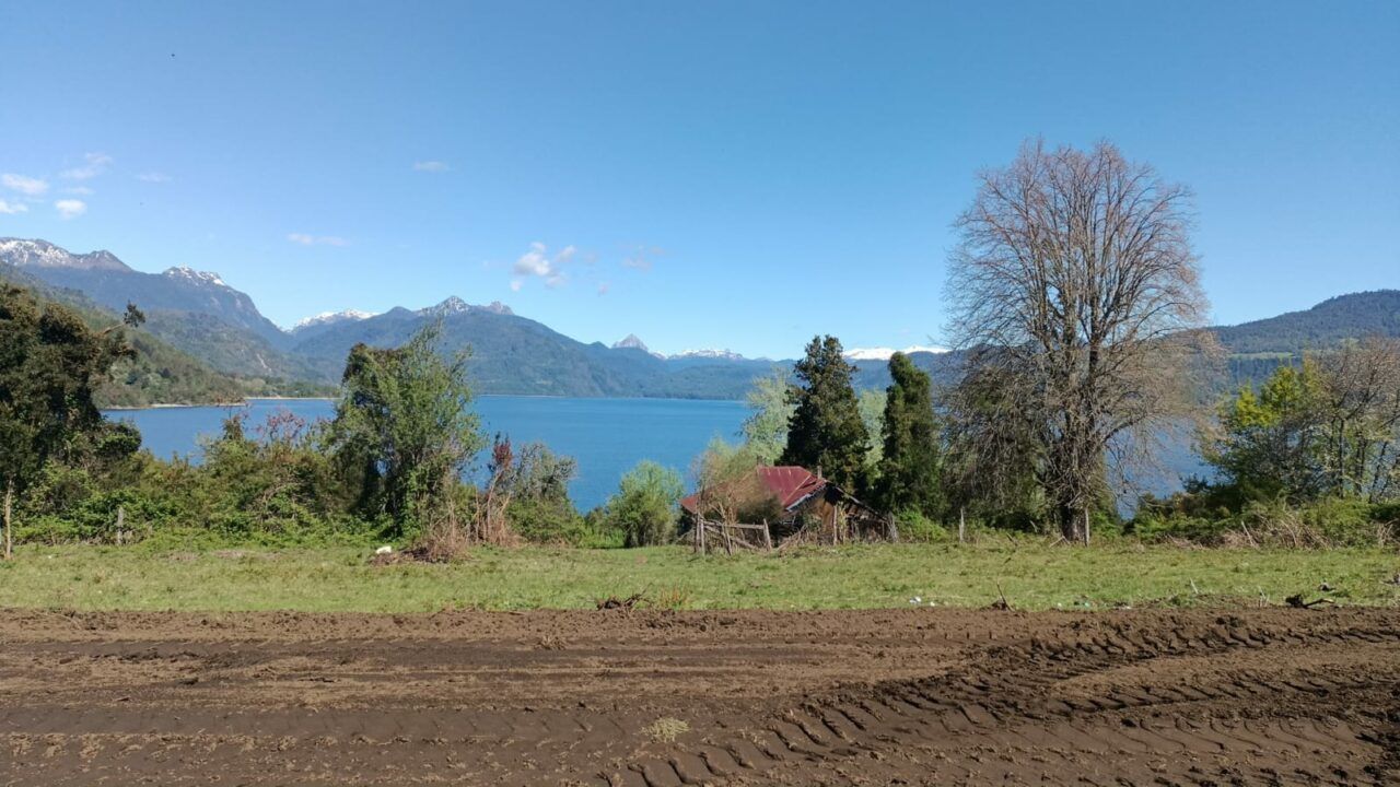 Parte I Encuentro de Escultores en Madera en Lago Maihue: hasta el lunes