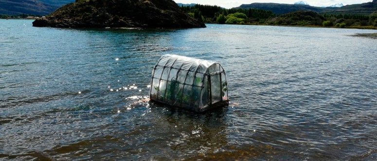 «Trabajo de Campo» en la CCLM: convergencia estética entre arte, ciencia e ilustración