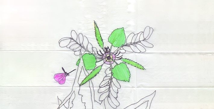 Jardines Especulativos en el MAC: jugando con la ciencia y sueños de regeneración ambiental