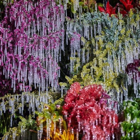 Azuma Makoto o el talento de hacer arte desde flores congeladas